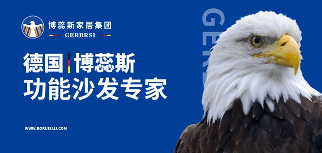 能沙发专家 大国隐形冠军AG真人地址博蕊斯——功(图2)